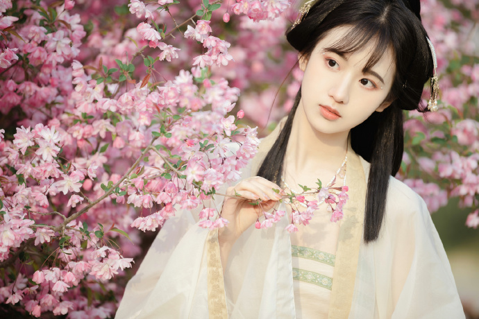 坚如磐石 封面